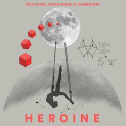 Cover of Heroine