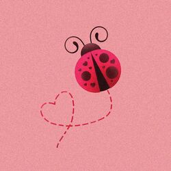 Cover of Lovebug