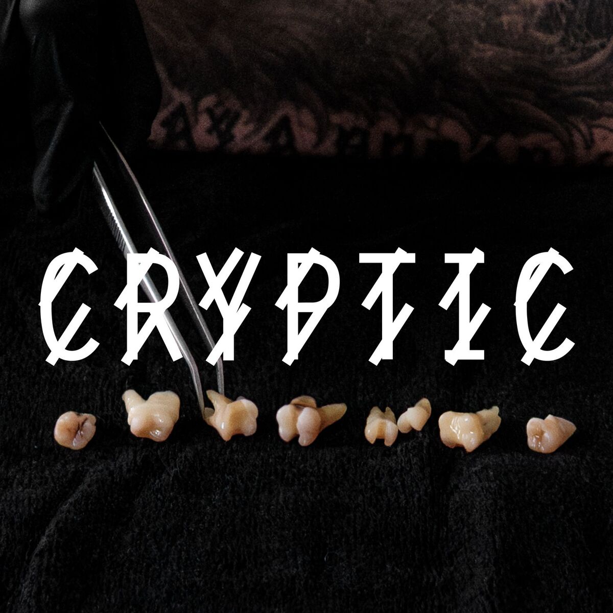Album cover of Cryptic