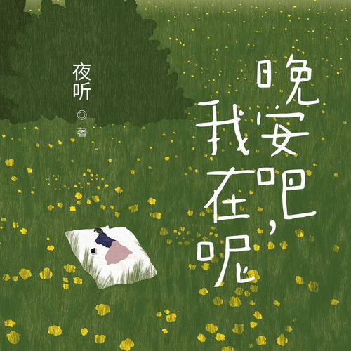 晚安吧，我在呢