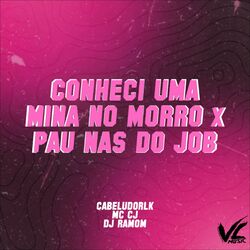 Cover of Conheci uma Mina no Morro X Pau nas do Job