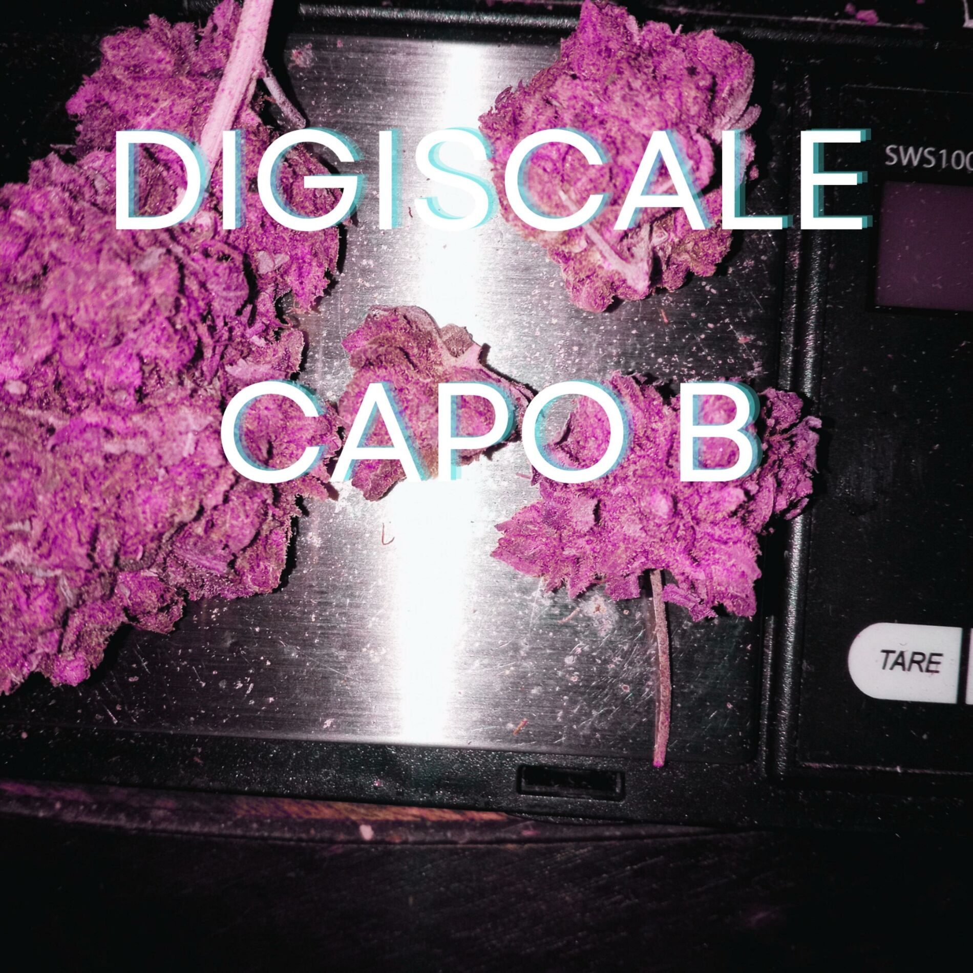 Album cover of Digiscale