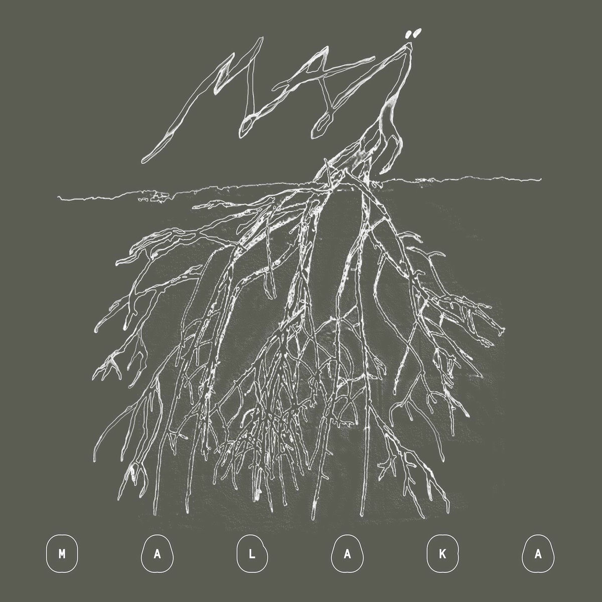 Album cover of Swaï