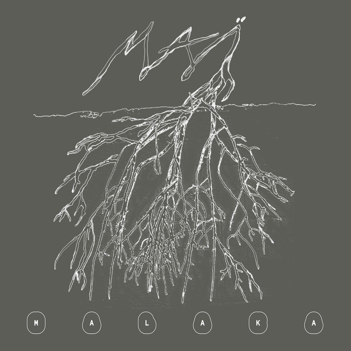Album cover of Maï