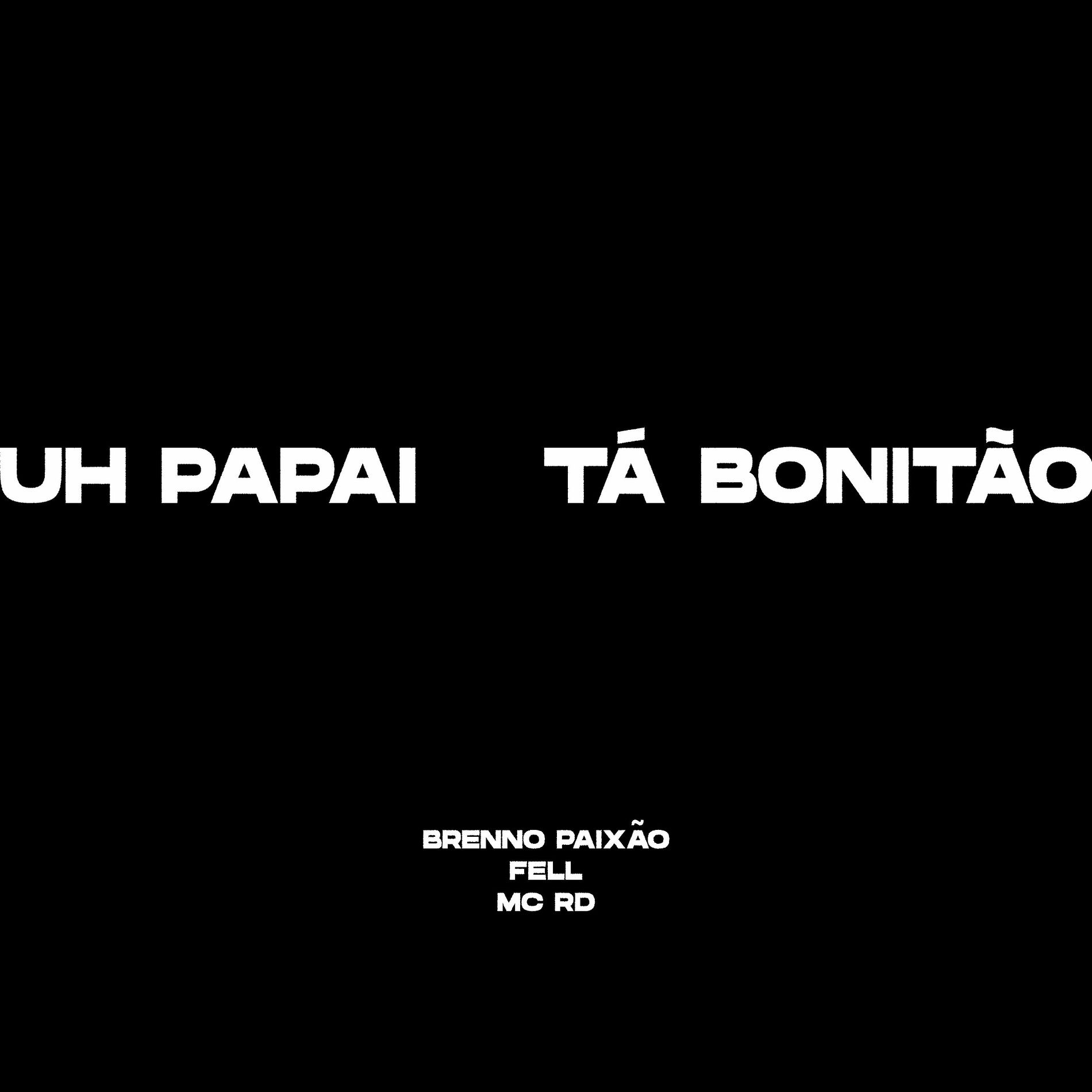 Album cover of Uh Papai Ta Bonitao