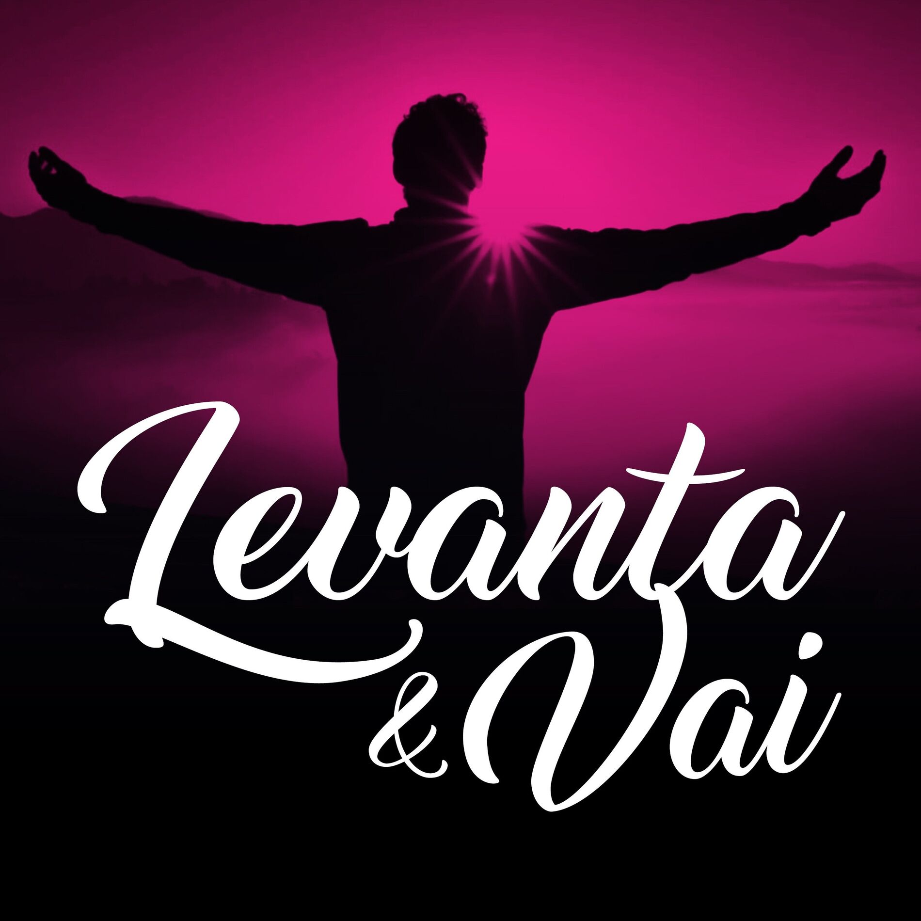 Album cover of Levanta e Vai (Remix)