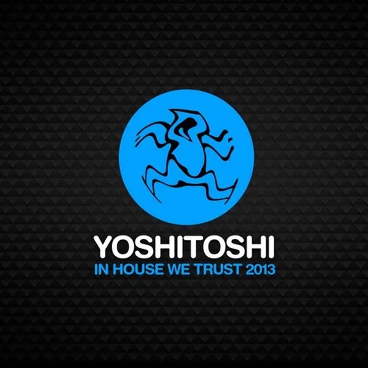 Album cover of In House We Trust 2013