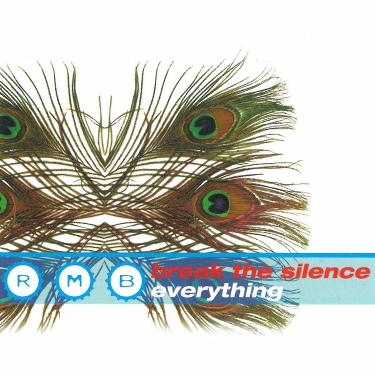 Album cover of Break the Silence / Everything