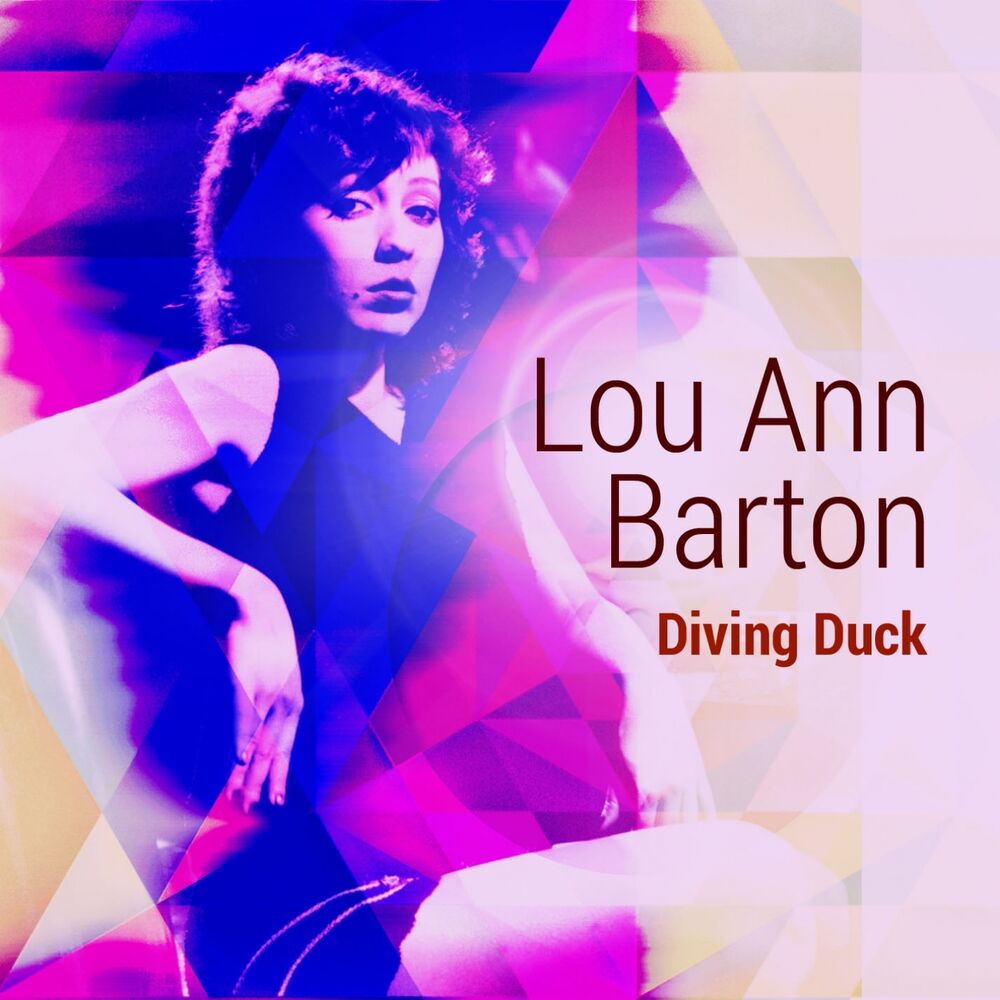 Picture of Diving Duck
