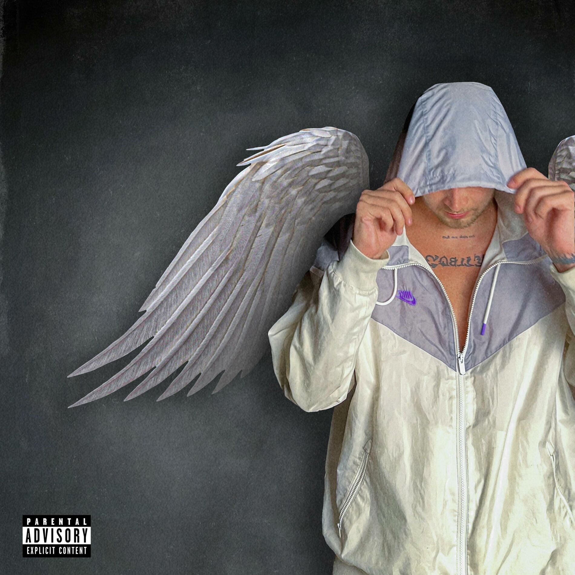 Album cover of PRIND ARIPI