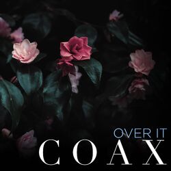 Cover of Over It