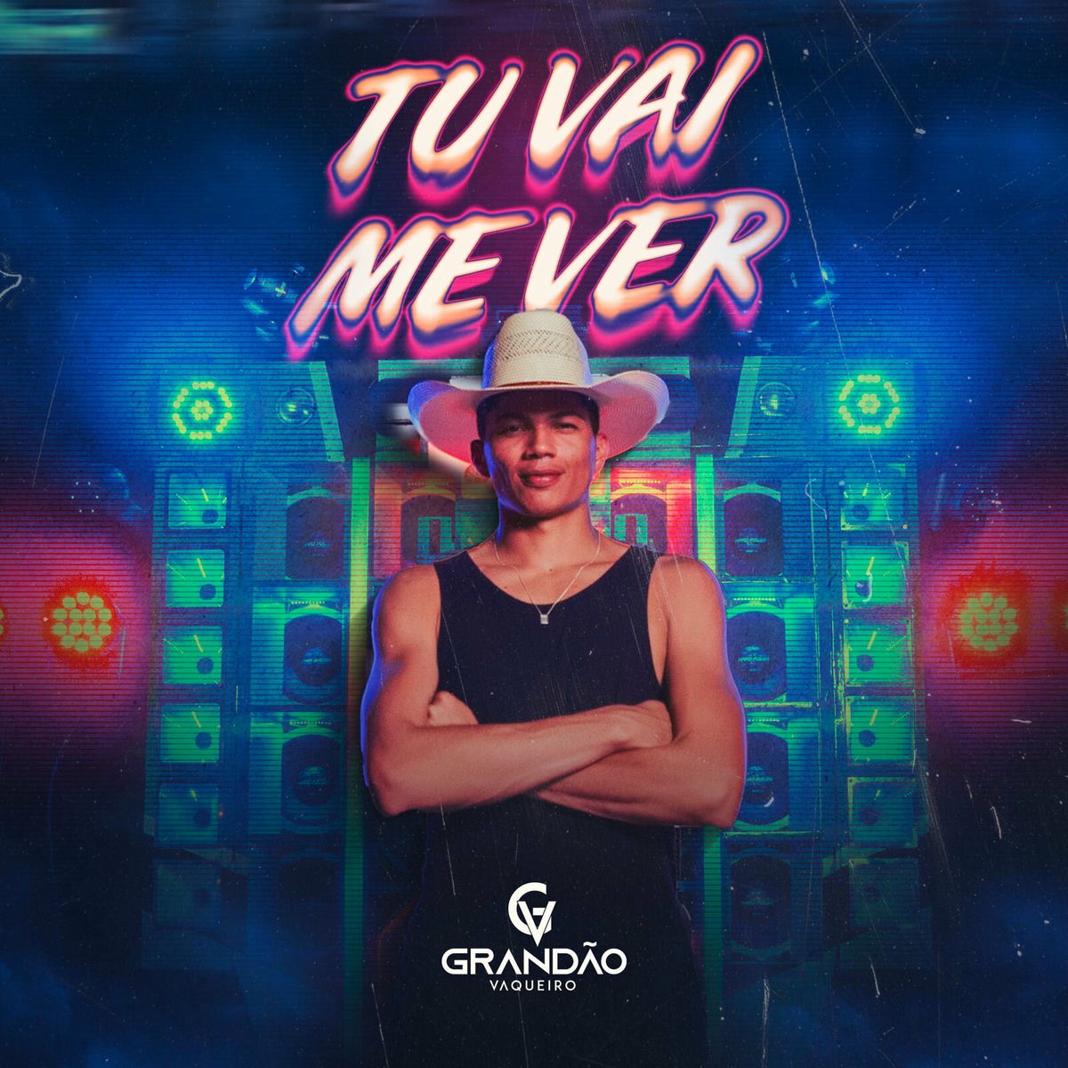 Album cover of Tu Vai Me Ver