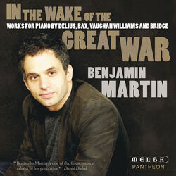 Cover of In the Wake of the Great War