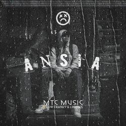 Cover of ANSIA