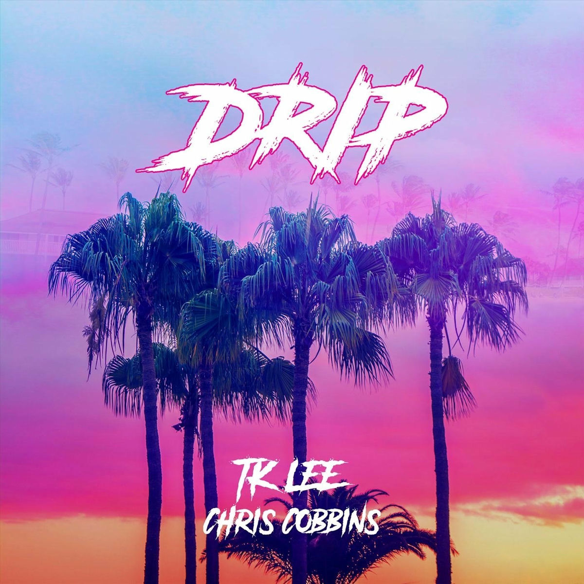 Album cover of Drip