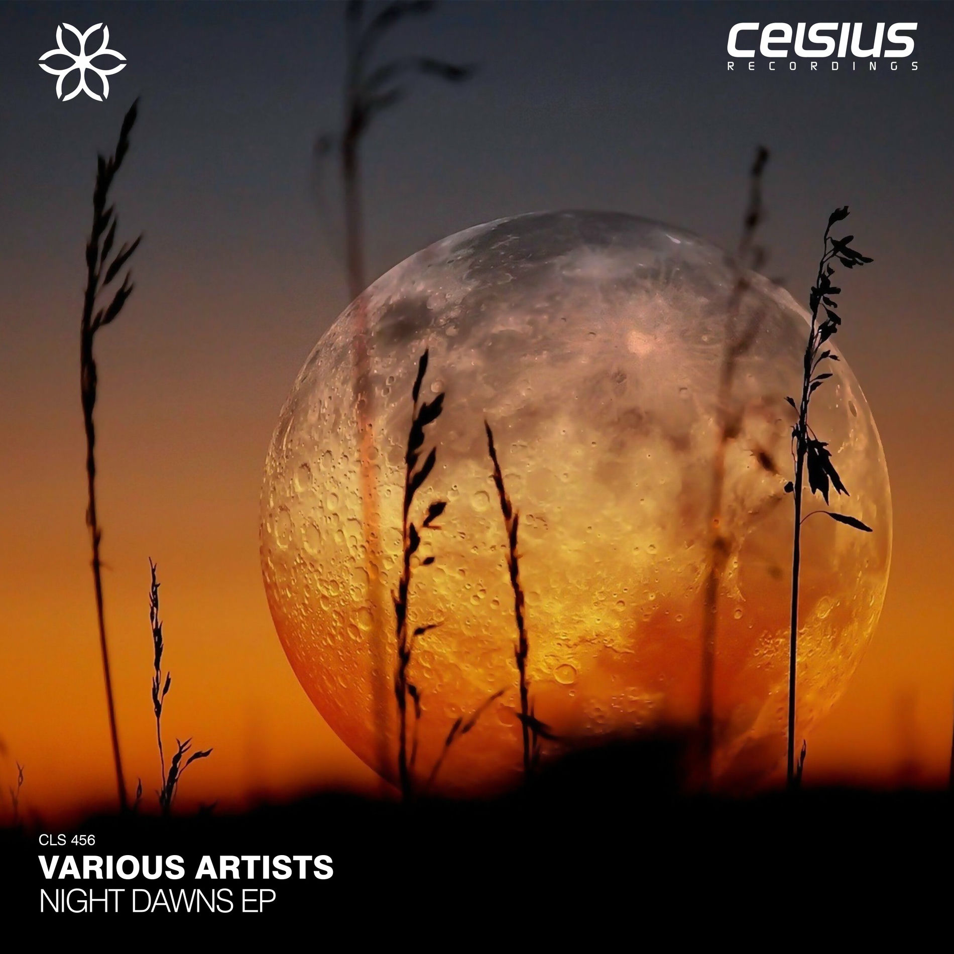 Album cover of Night Dawns EP