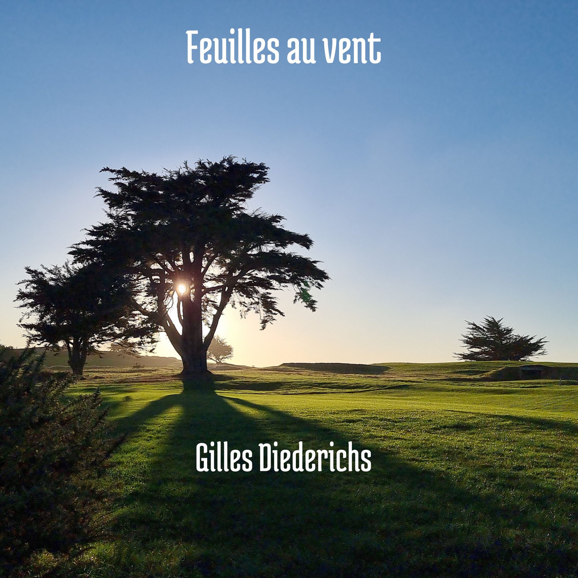 Album cover of Feuilles au vent