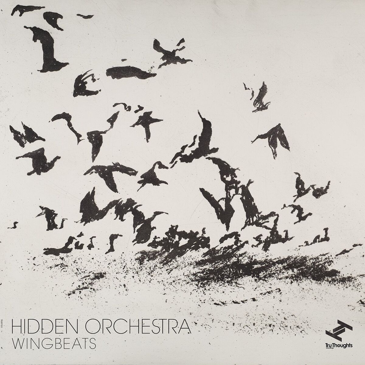 Album cover of Wingbeats