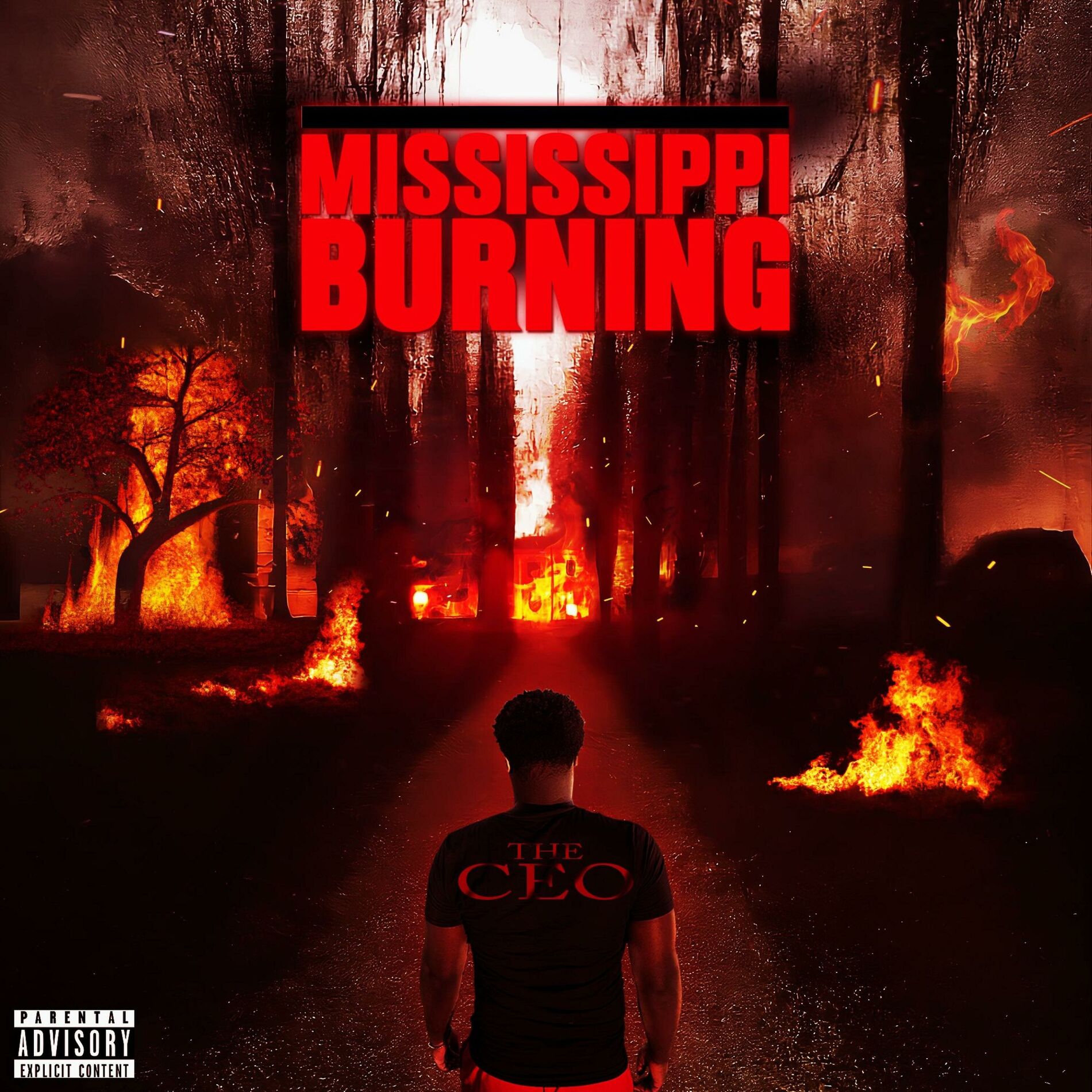 Album cover of MISSISSIPPI BURNING