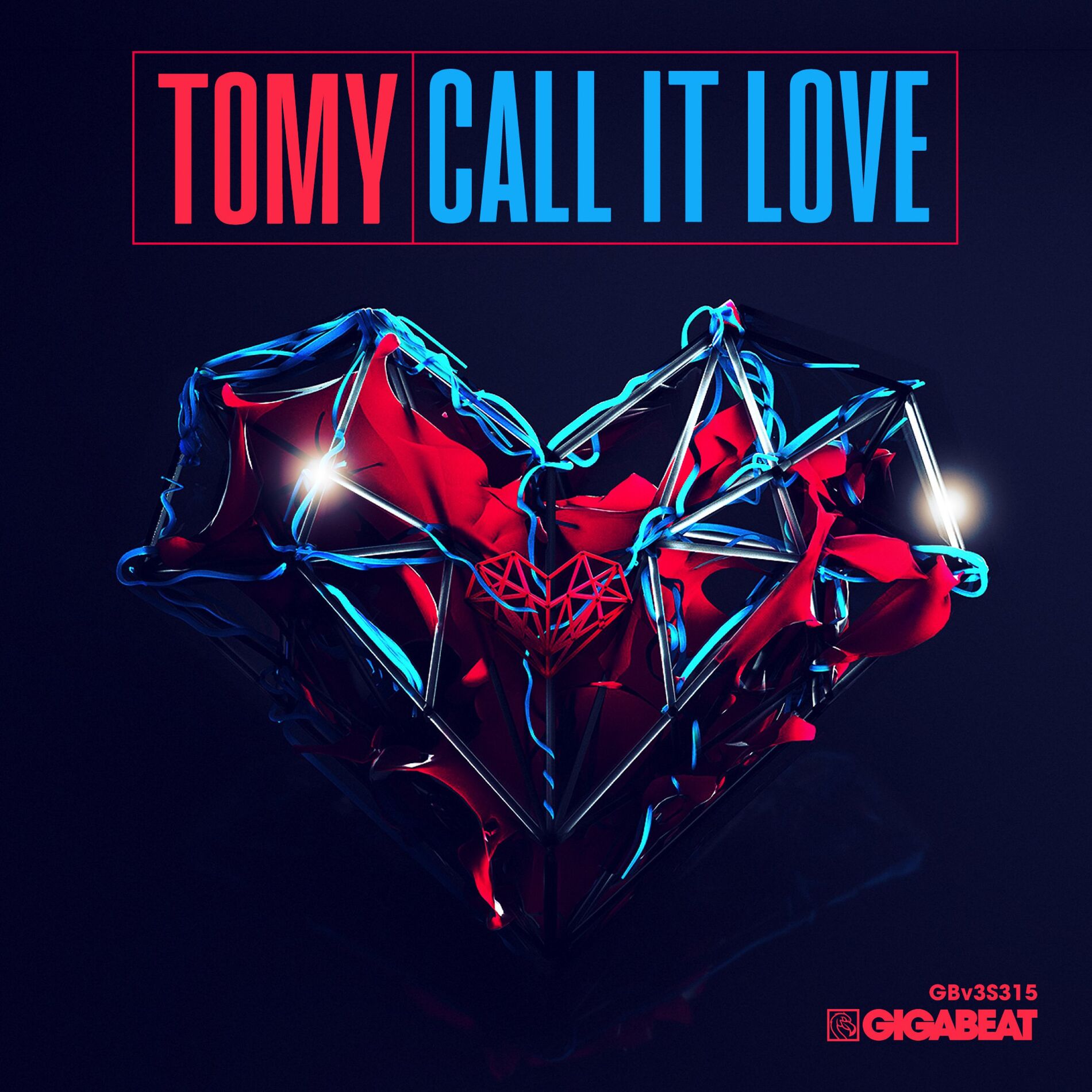 Album cover of Call It Love