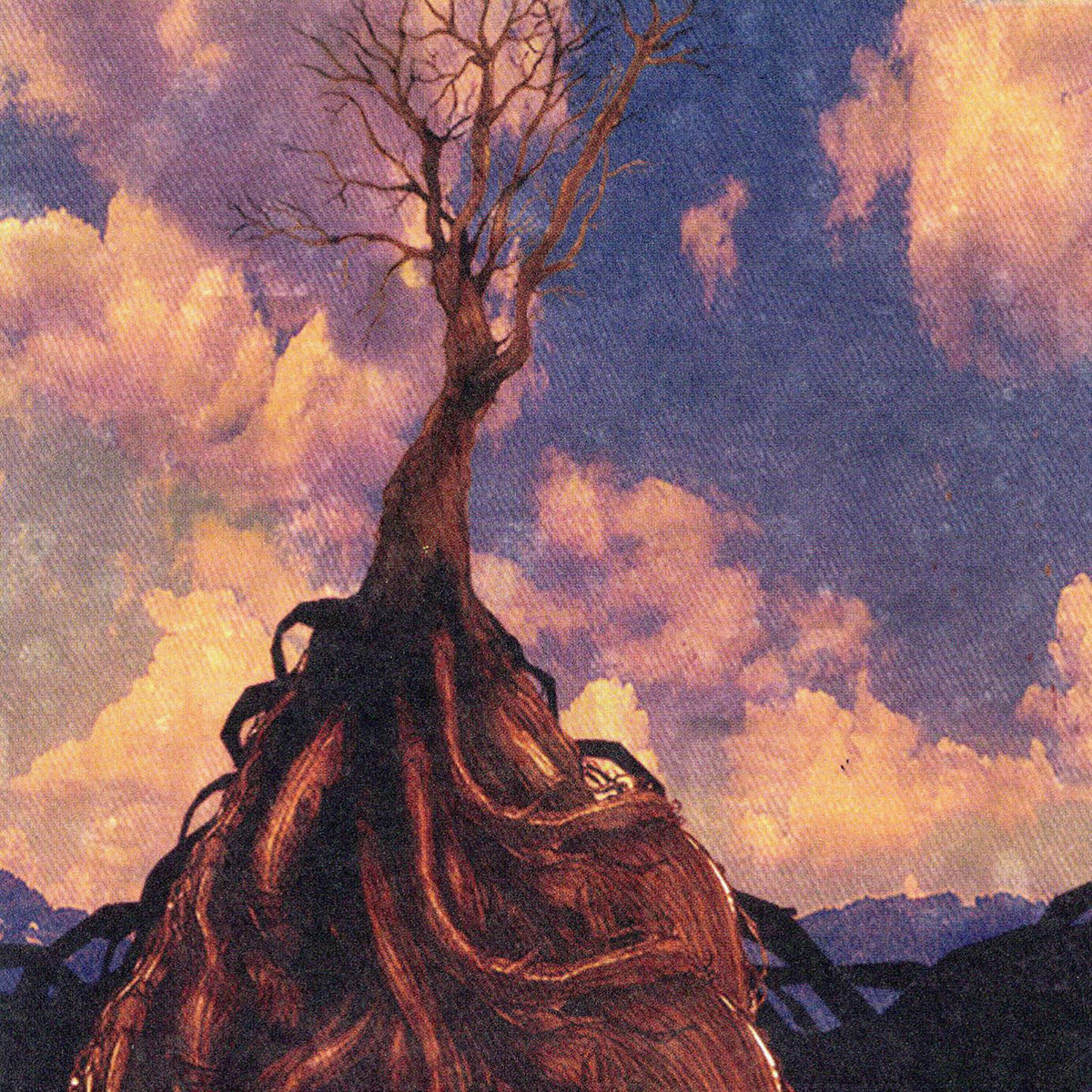 Album cover of In Bocca Al Lupo