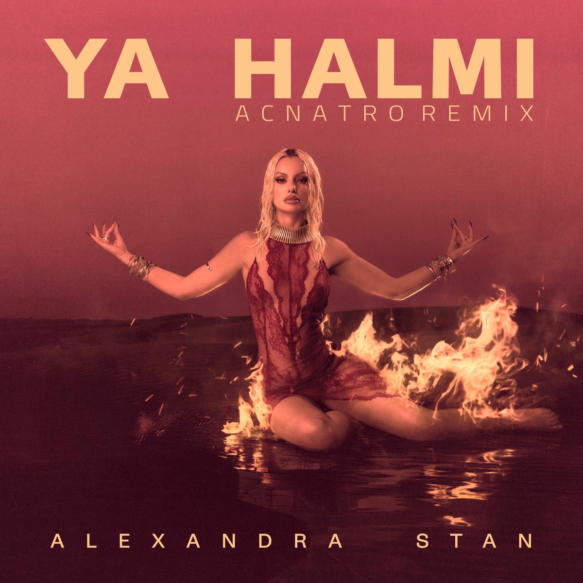 Album cover of Ya Halmi (Acnatro Remix)