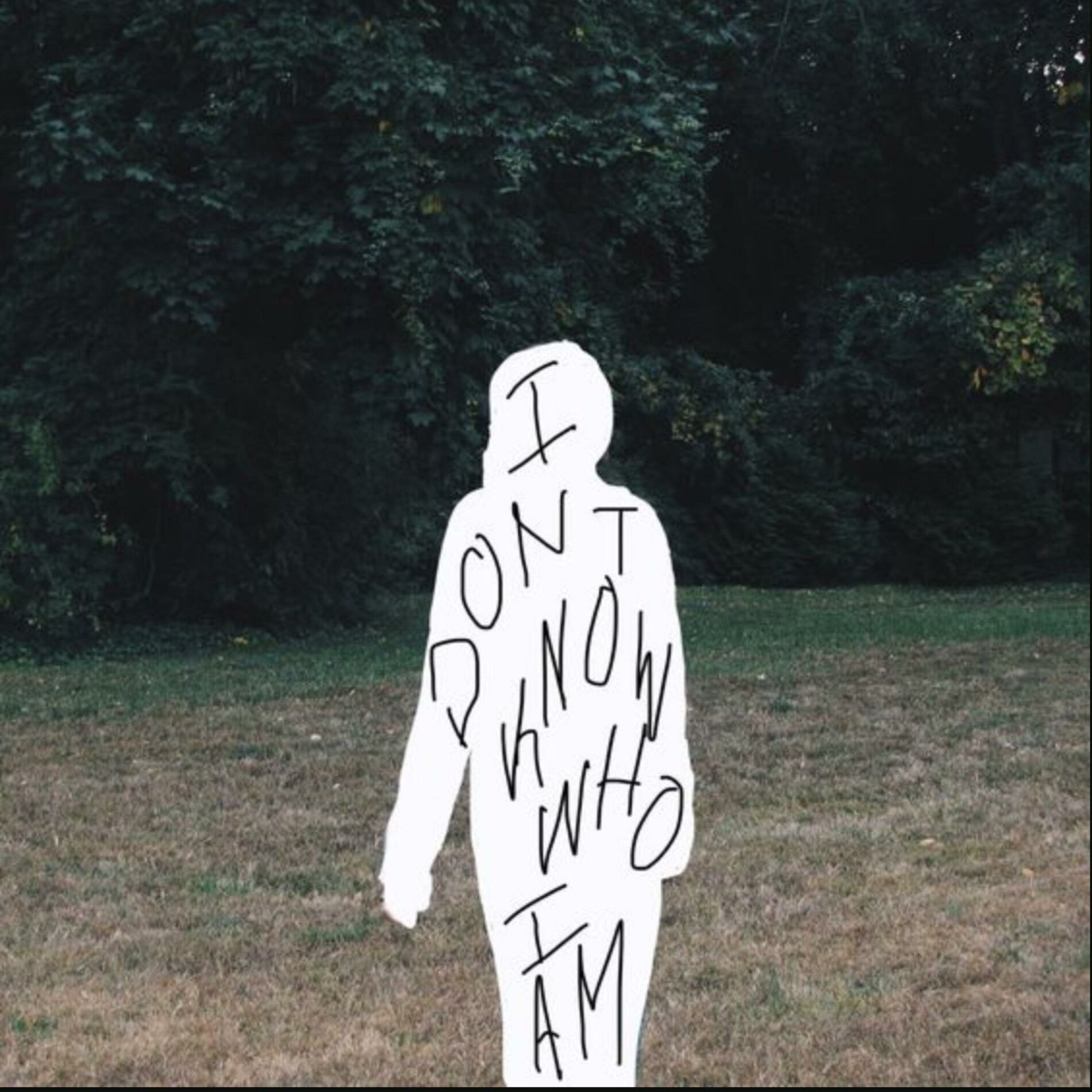 Album cover of I don't know who i am