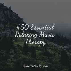 Cover of #50 Essential Relaxing Music Therapy