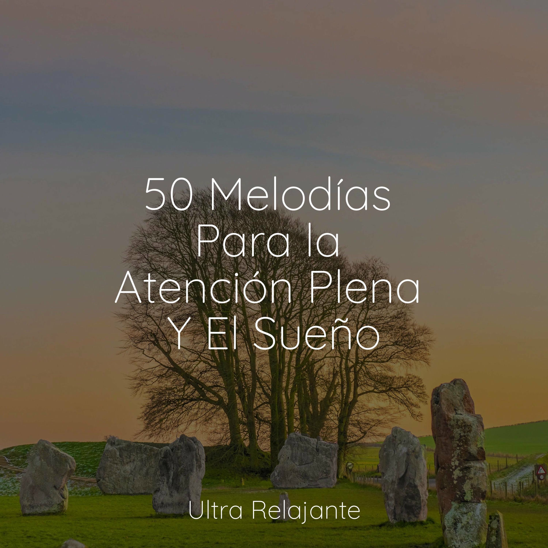 Album cover of 50 Melodías Para la Atención Plena Y El Sueño