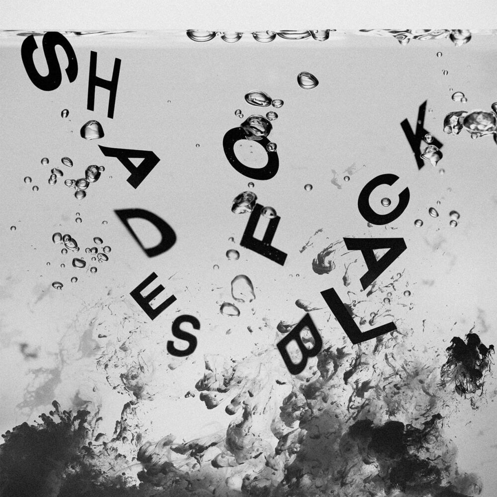 Picture of Shades of Black