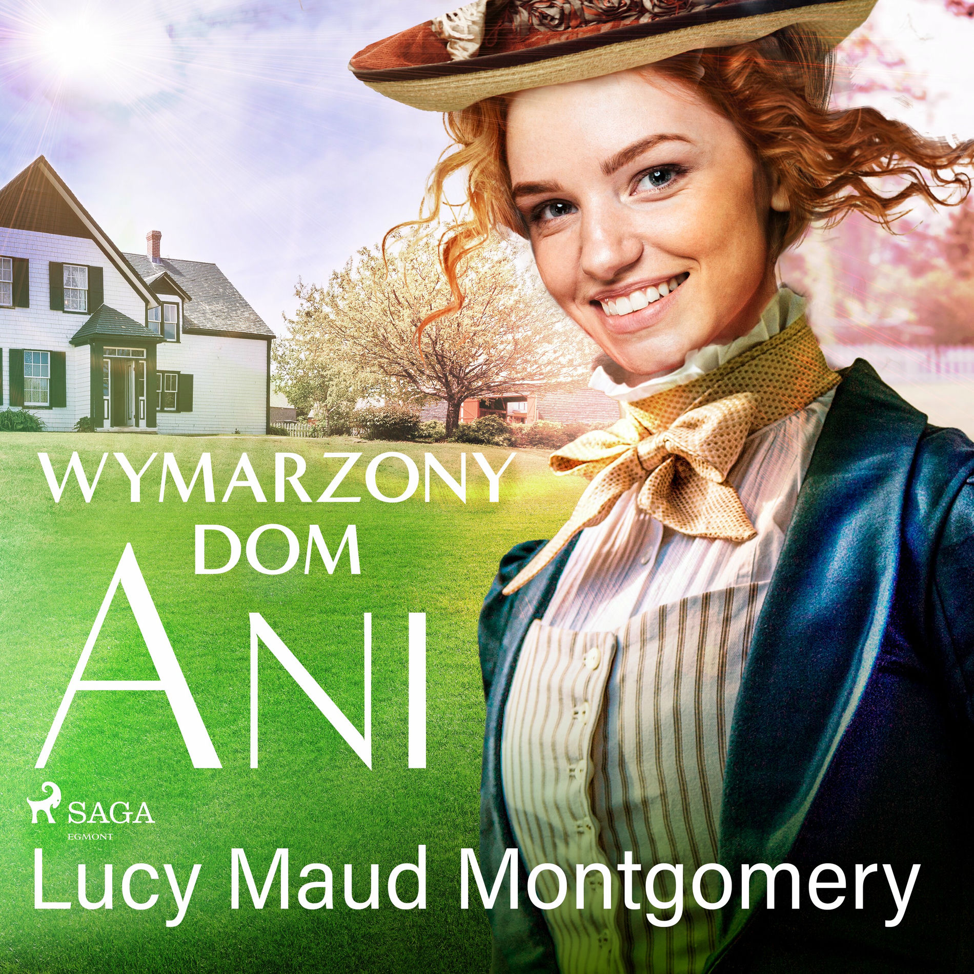 Album cover of Wymarzony dom Ani