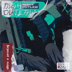 Cover of NIGHT OUTLAW