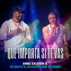 Cover of Que Importa Si Te Vas