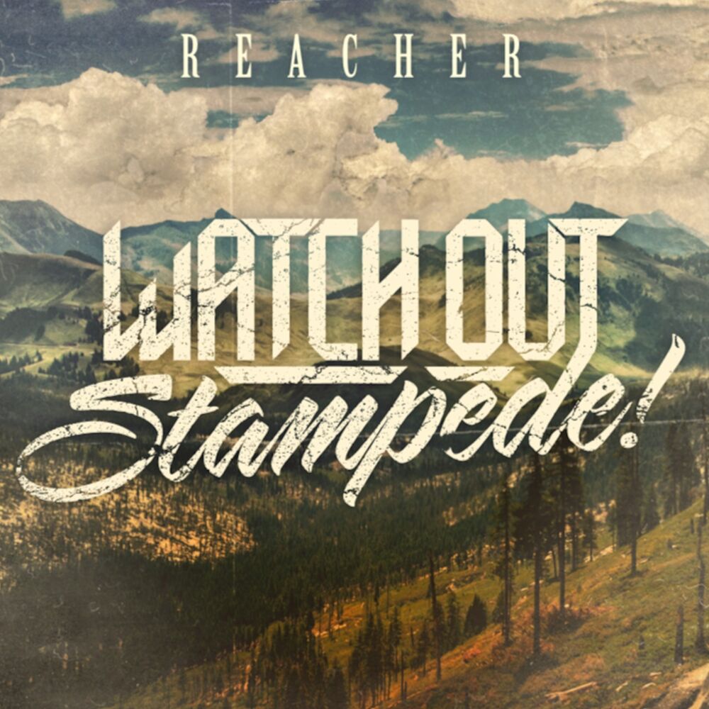 Picture of Reacher
