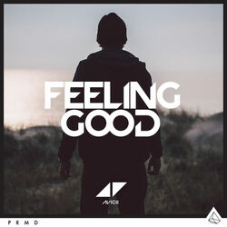 Cover of Feeling Good