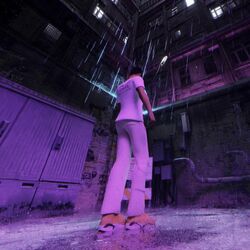 Cover of Meta
