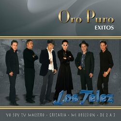 Cover of Oro Puro: Éxitos