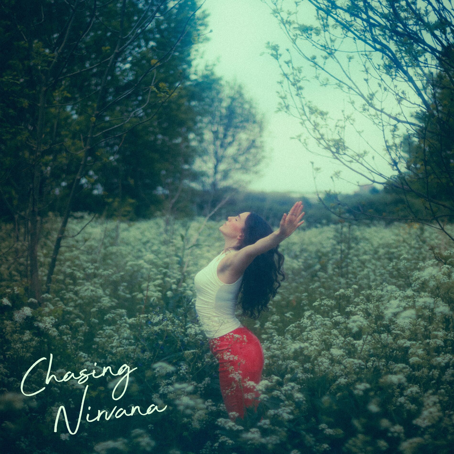 Album cover of Chasing Nirvana
