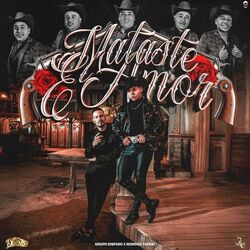 Cover of Mataste el Amor