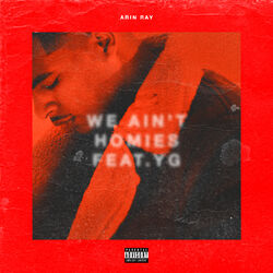 Cover of We Ain't Homies