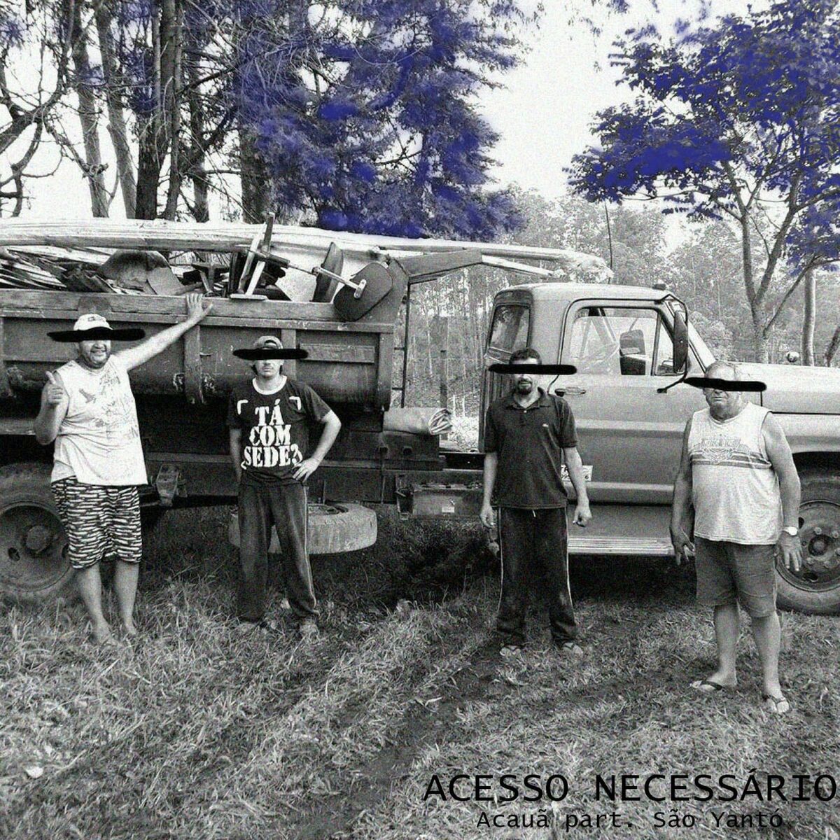 Album cover of Acesso Necessário