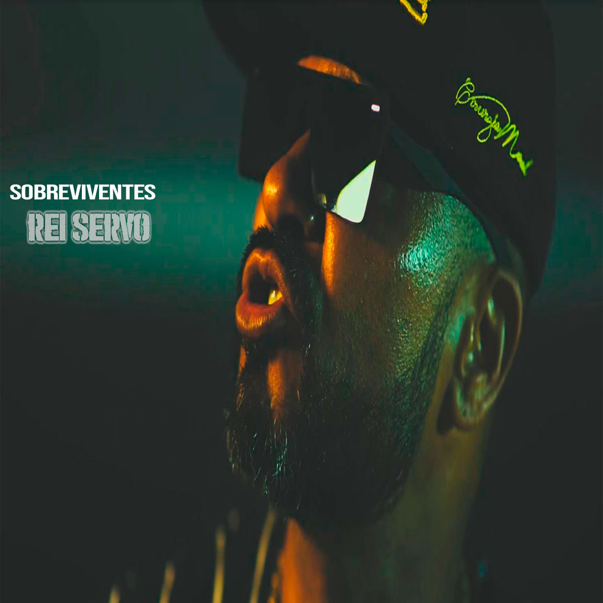 Album cover of Sobreviventes