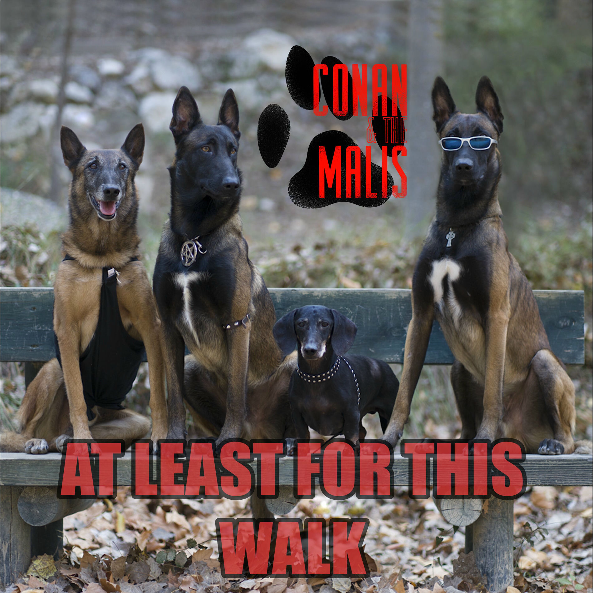 Album cover of At Least For This Walk