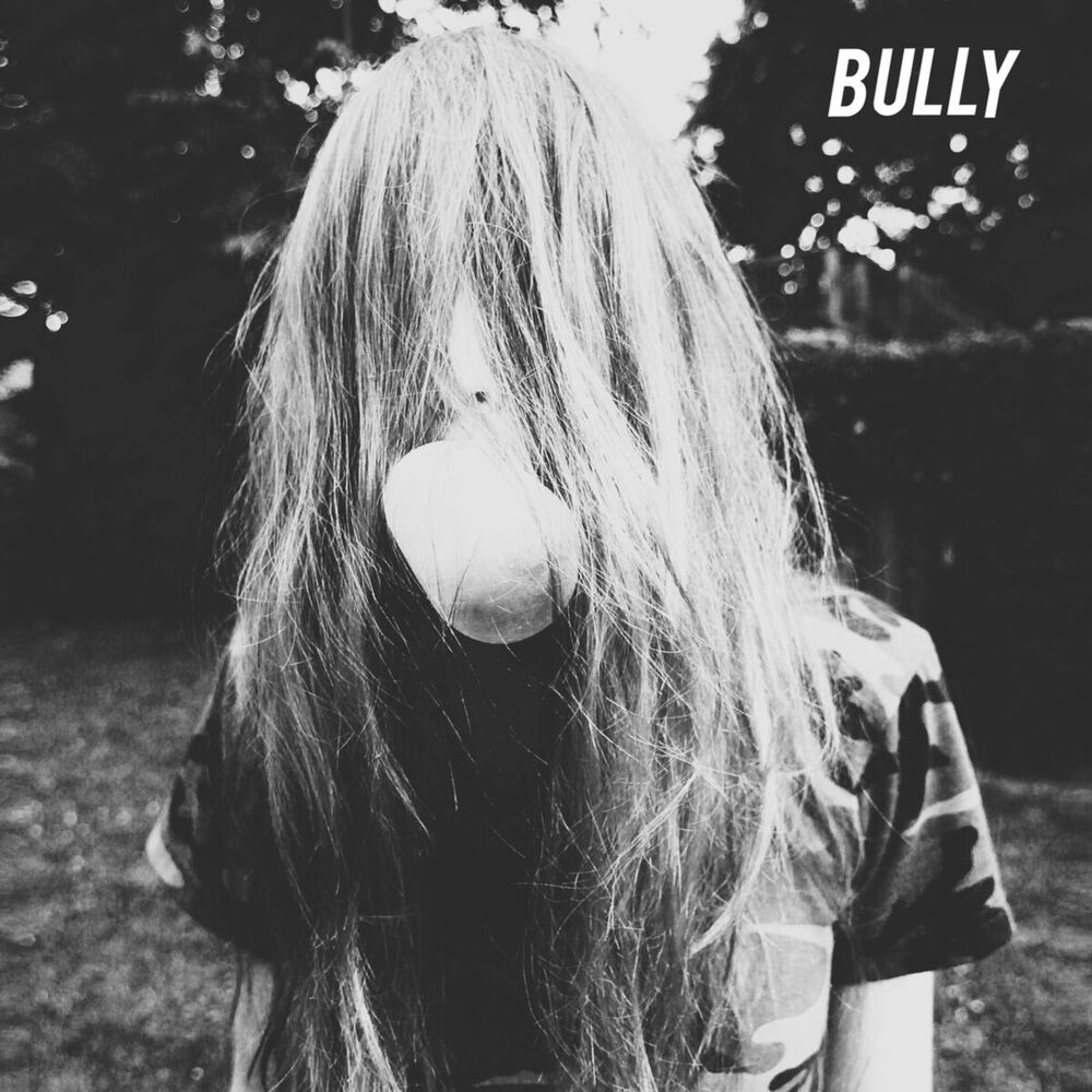 Picture of Bully