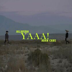 Cover of YAAA!