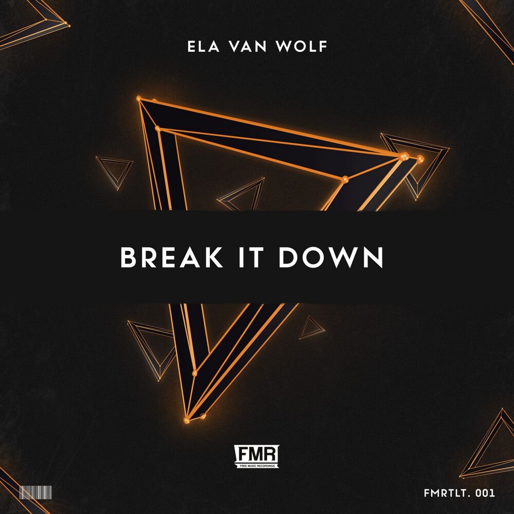 Picture of Break It Down