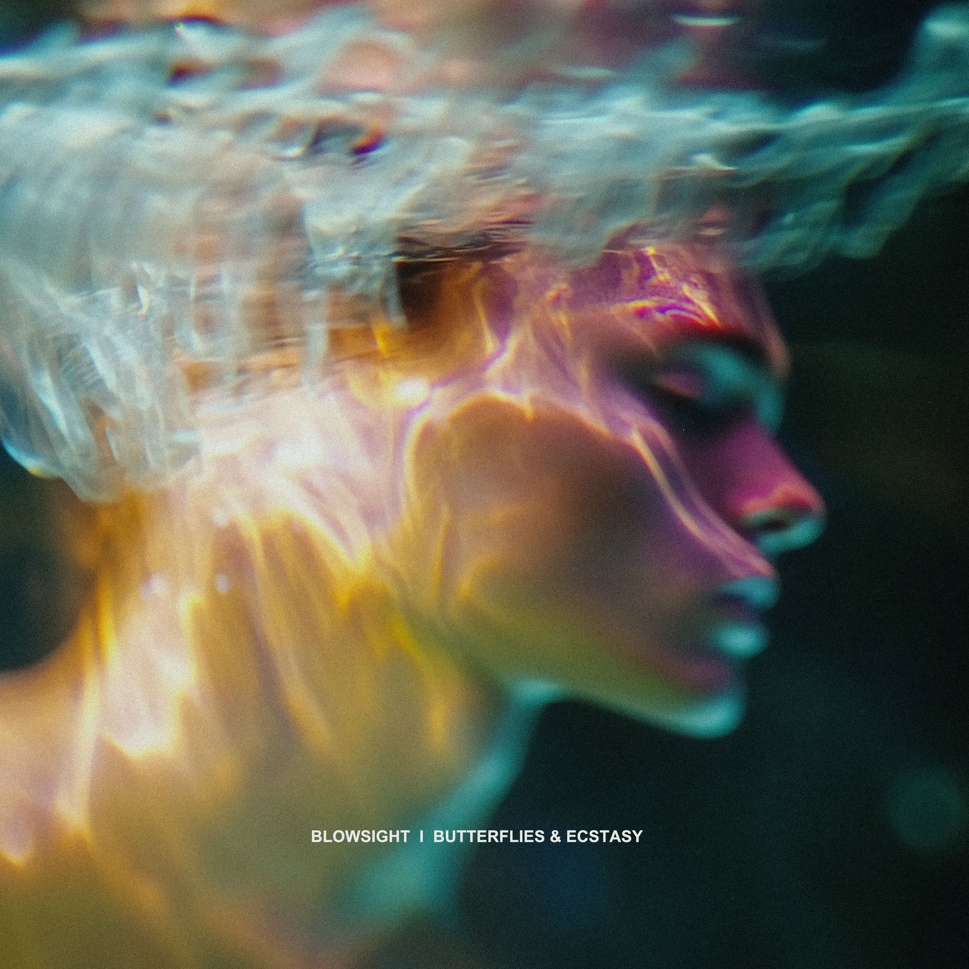 Album cover of Butterflies & Ecstasy