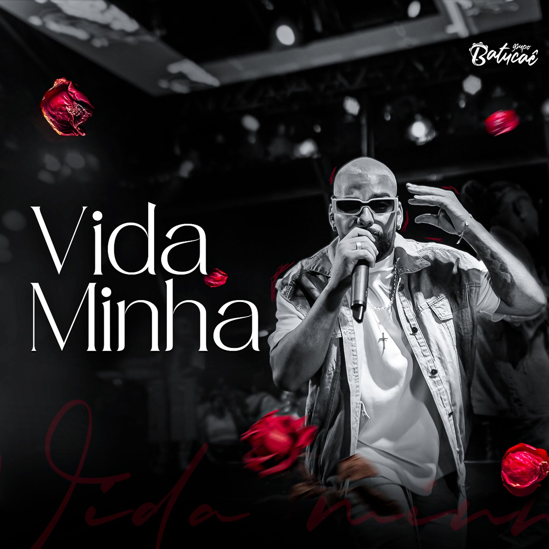 Album cover of Vida Minha