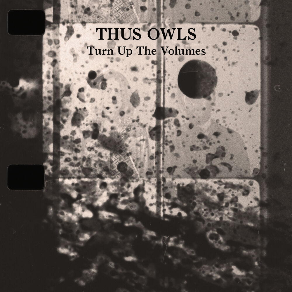 Picture of Turn Up The Volumes