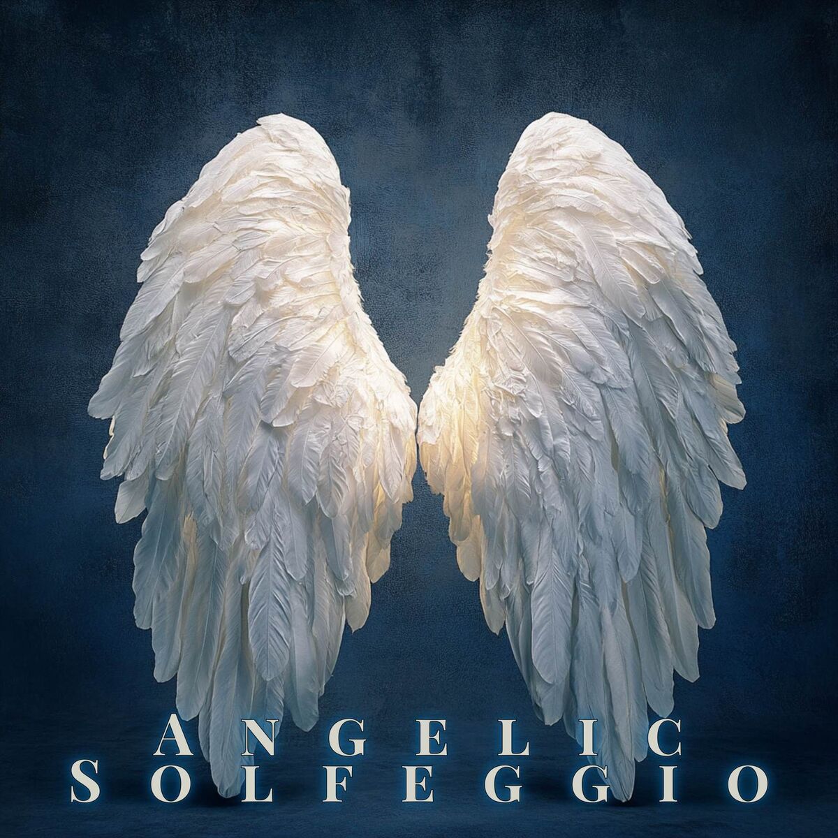 Album cover of Angelic Impluse Review of 2024 and 2025